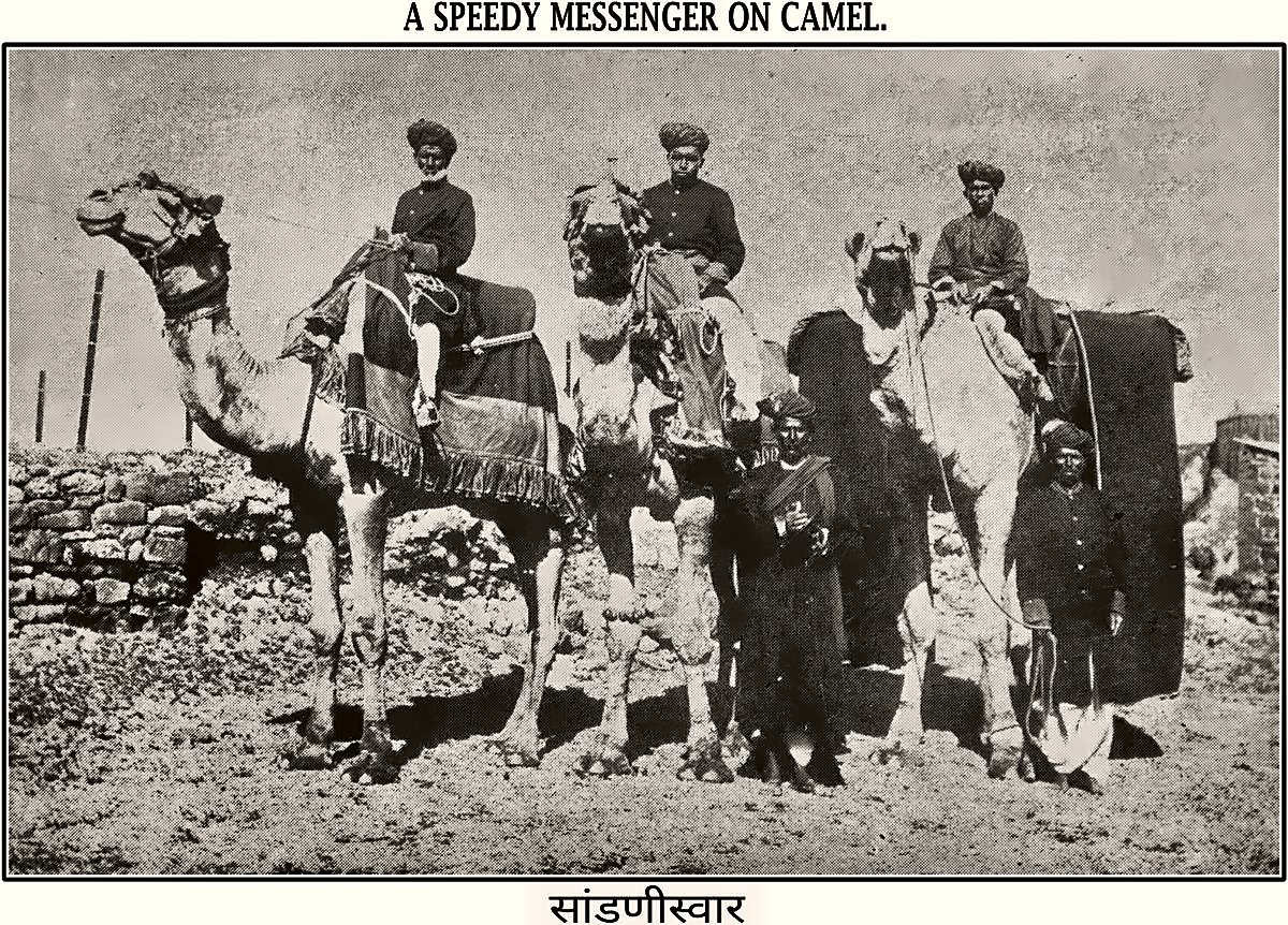 Camel messenger, from the Miraj State Album